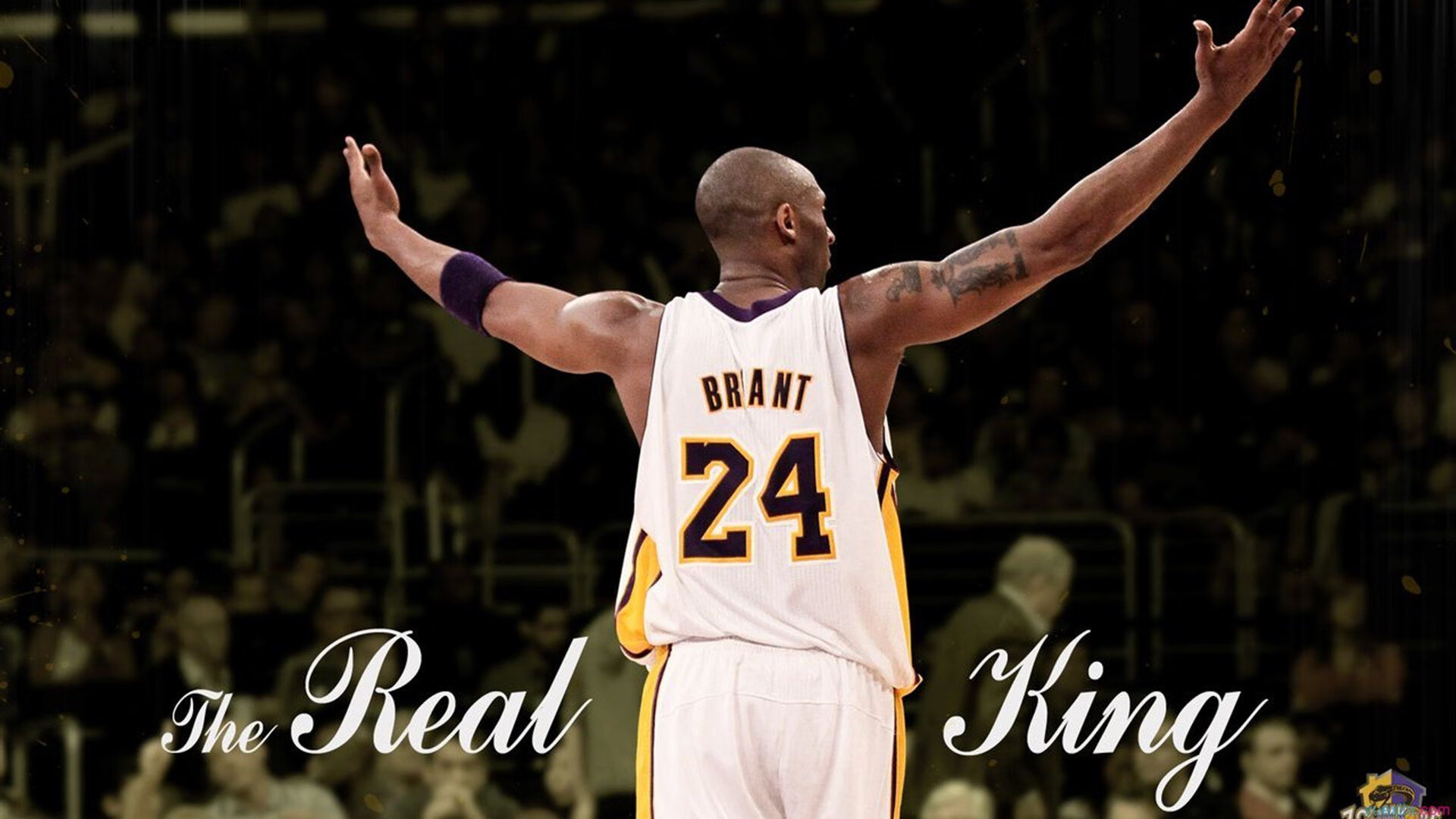 李娜加盟国内青训项目任导师，李娜训练视频